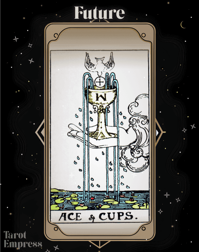 Ace of Cups Future
