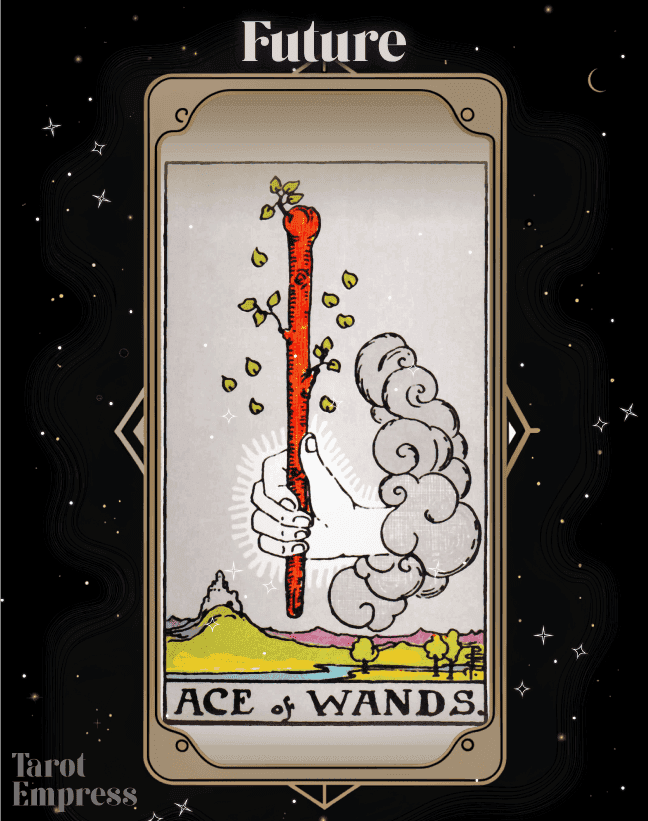 Ace of Wands Future
