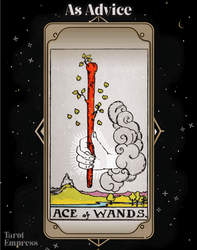 Ace of Wands Advice