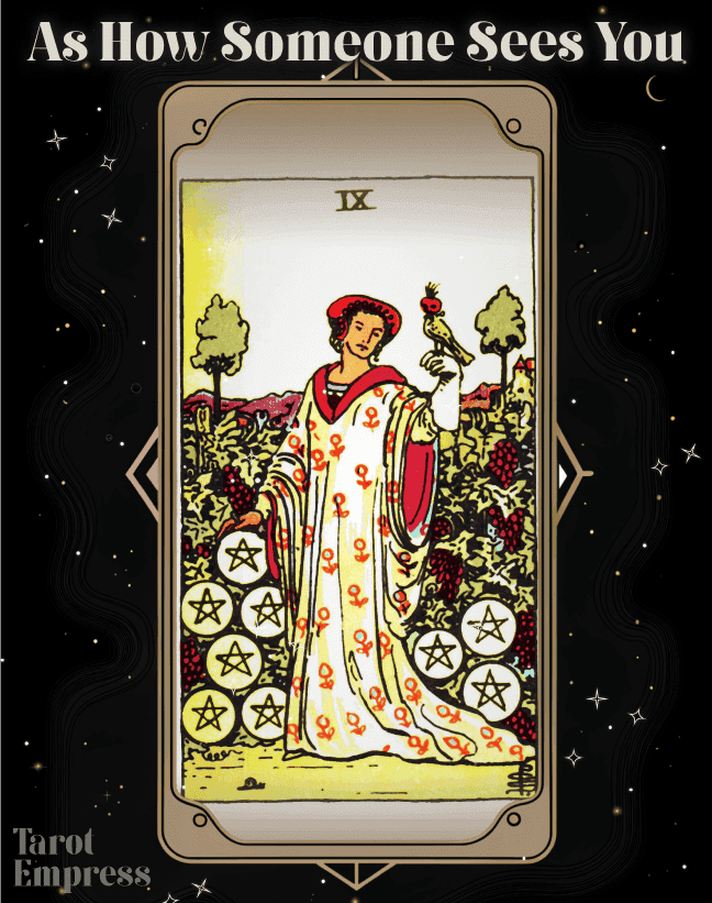 Nine of Pentacles as How Someone Sees You